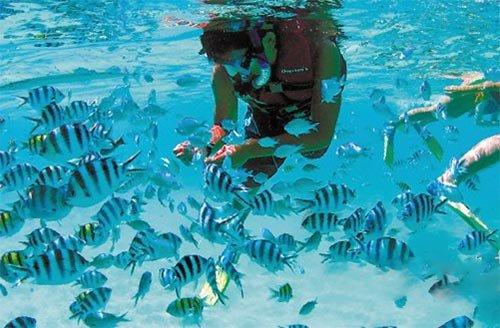 哈尔滨铁路物流中心挂牌 全国39个铁路物流中心全部成立