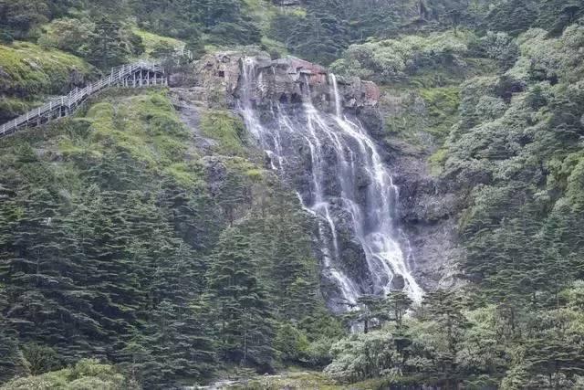 深海鱼救援